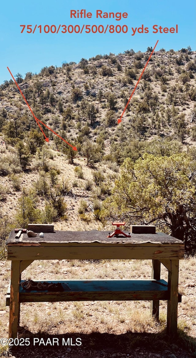 28555 N Feather Mountain Rd, Paulden, AZ 86334 - view of mountain backdrop
