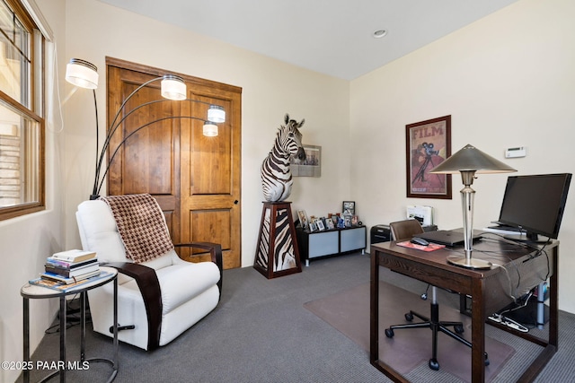 13175 N Bull Run Rd, Prescott, AZ 86305 - view of carpeted office space