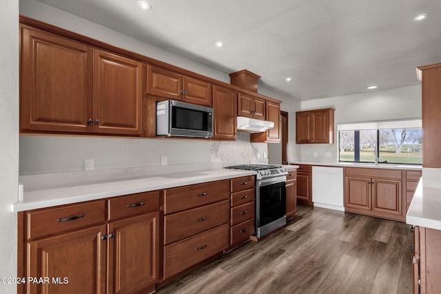 kitchen featuring dark wood-type flooring, stainless steel appliances, sink, and backsplash