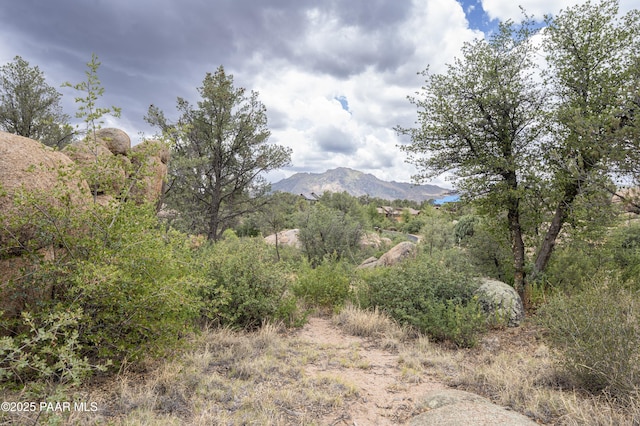 9799 N American Ranch Rd, Prescott, AZ 86305 - photo 21