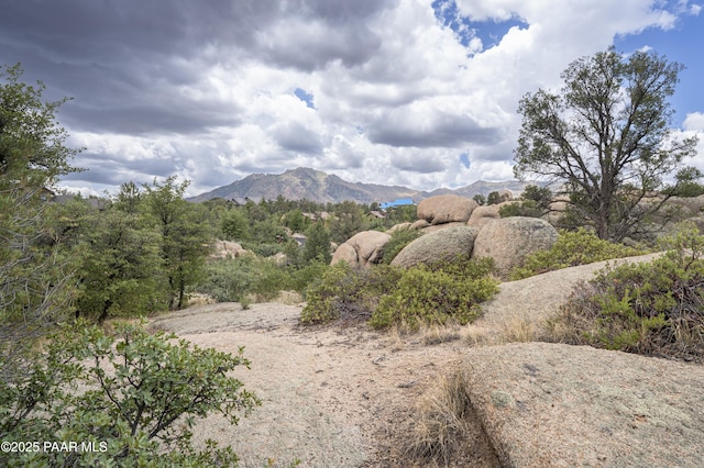 9799 N American Ranch Rd, Prescott, AZ 86305 - photo 4