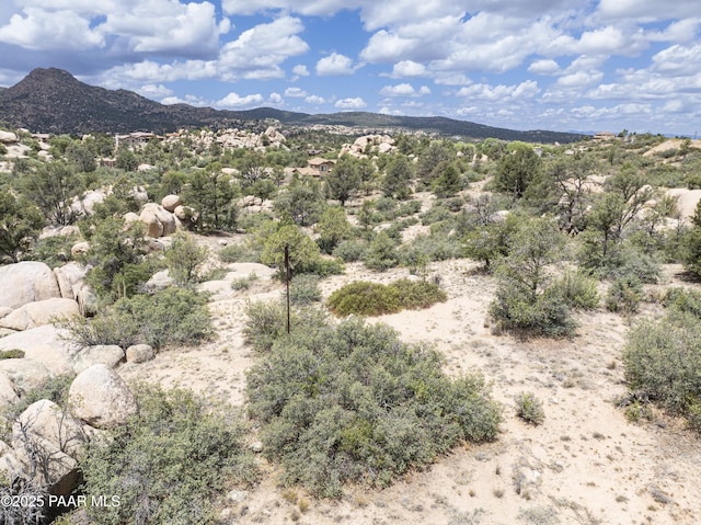 9799 N American Ranch Rd, Prescott, AZ 86305 - photo 35