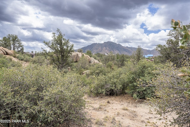 9799 N American Ranch Rd, Prescott, AZ 86305 - photo 20
