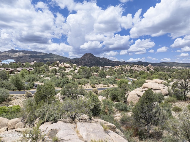 9799 N American Ranch Rd, Prescott, AZ 86305 - photo 26