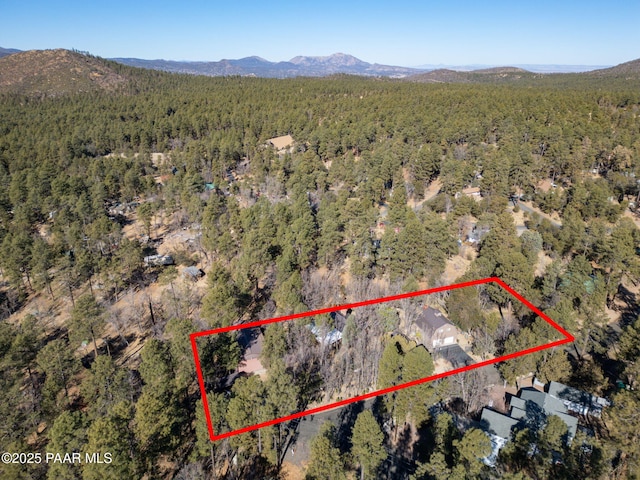 birds eye view of property with a mountain view