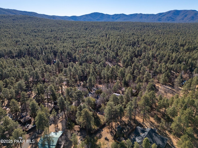 bird's eye view with a mountain view