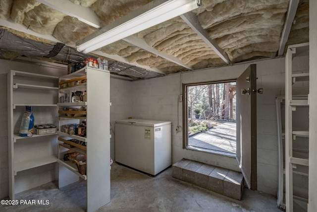 basement with refrigerator