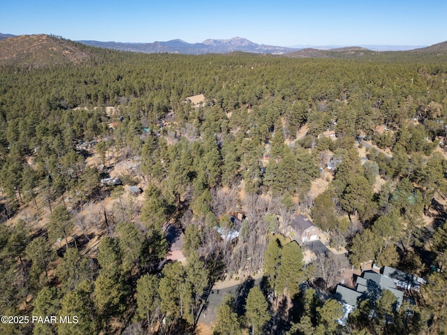 drone / aerial view with a mountain view