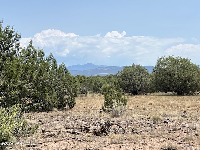 329D Rut Rd, Ash Fork, AZ 86320 - photo 8