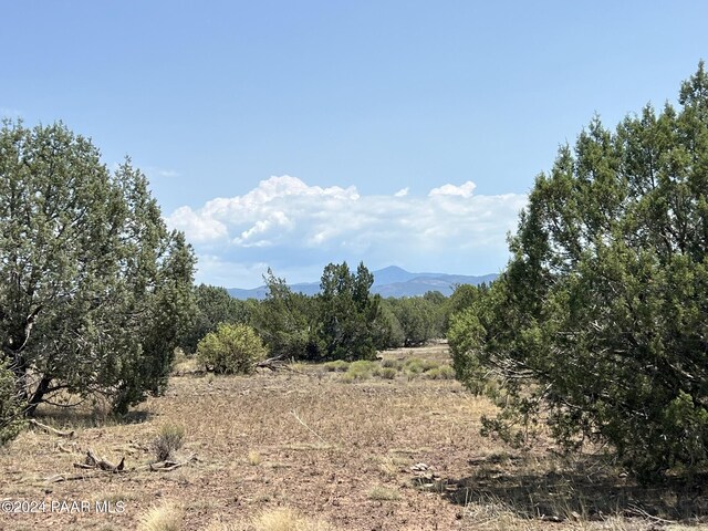329D Rut Rd, Ash Fork, AZ 86320 - photo 4