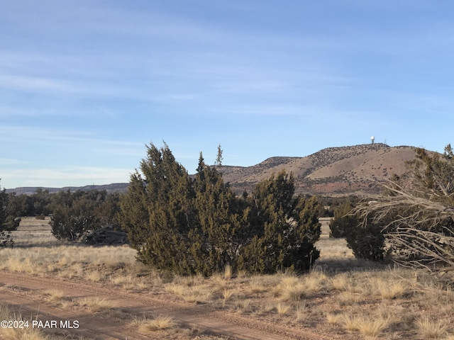27787 San Juan Ln, Seligman, AZ 86337 - photo 1