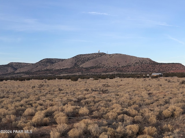 27787 San Juan Ln, Seligman, AZ 86337 - photo 3
