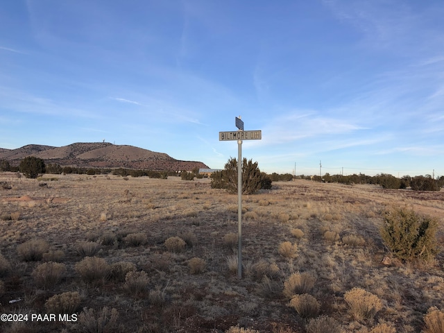 27787 San Juan Ln, Seligman, AZ 86337 - photo 2