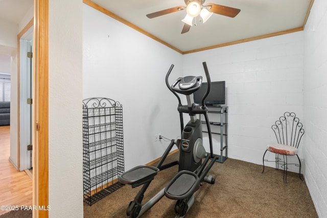 exercise area featuring ornamental molding, concrete block wall, and a ceiling fan