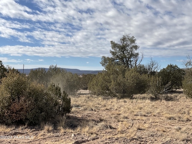 LOT383 Fort Rock Rd, Seligman AZ, 86337 land for sale