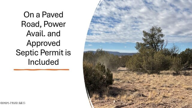LOT383 Fort Rock Rd, Seligman, AZ 86337 - photo 1
