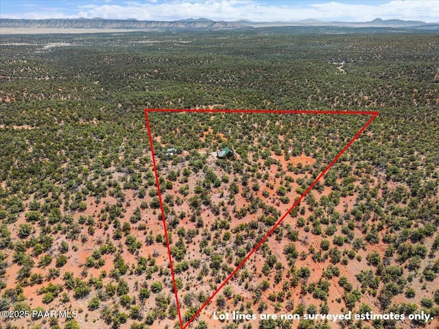 birds eye view of property featuring a mountain view