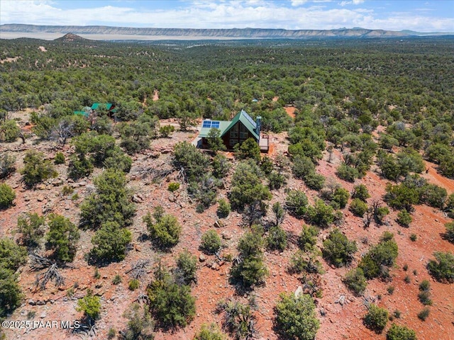 birds eye view of property with a mountain view