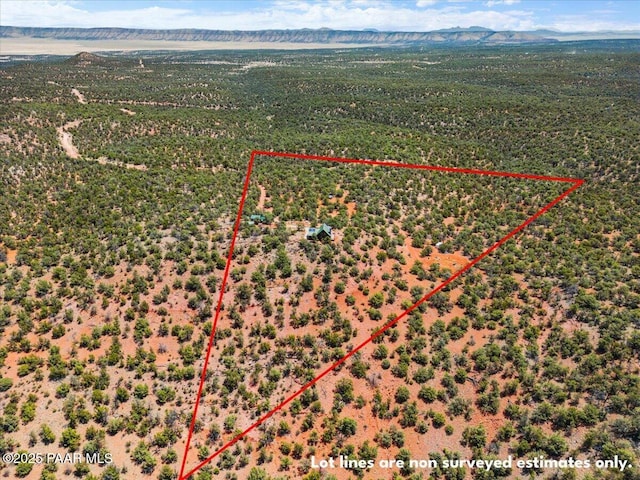 birds eye view of property featuring a mountain view