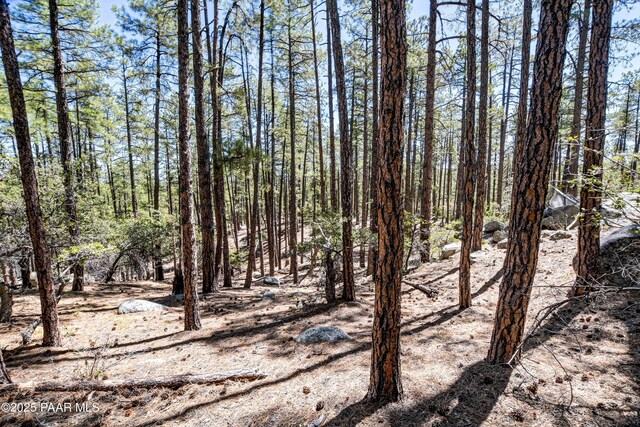 4080 W Smoki Dr, Prescott, AZ 86305 - photo 16