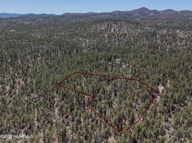 4080 W Smoki Dr, Prescott, AZ 86305 - photo 21