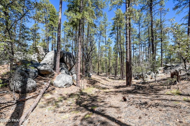 4080 W Smoki Dr, Prescott, AZ 86305 - photo 5
