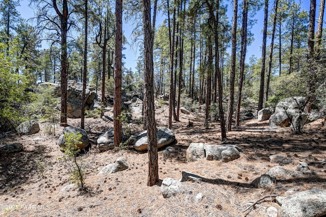 4080 W Smoki Dr, Prescott, AZ 86305 - photo 17