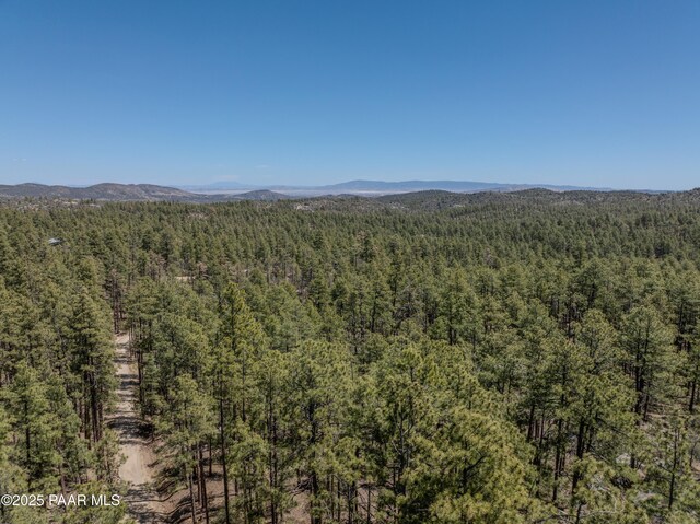 4080 W Smoki Dr, Prescott, AZ 86305 - photo 22