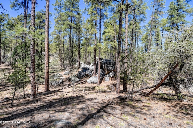 4080 W Smoki Dr, Prescott, AZ 86305 - photo 8