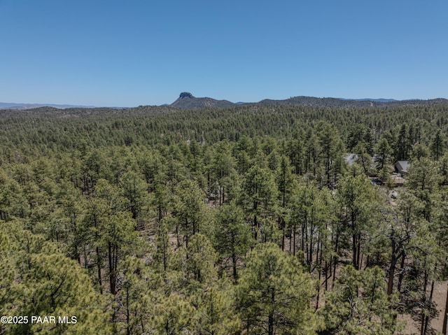4080 W Smoki Dr, Prescott, AZ 86305 - photo 4