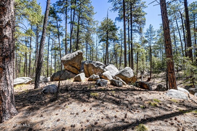 4080 W Smoki Dr, Prescott, AZ 86305 - photo 10