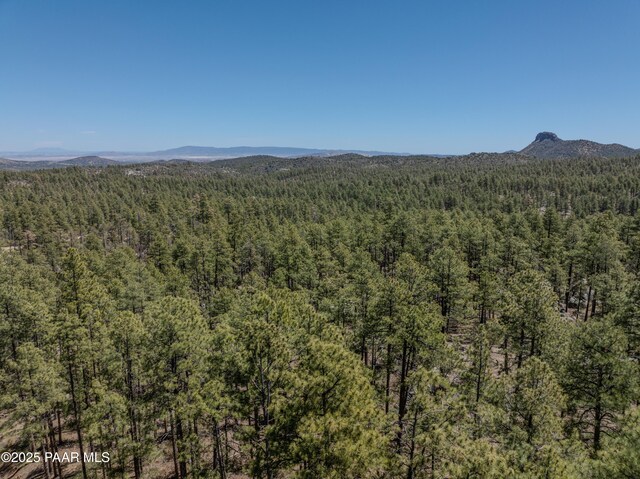 4080 W Smoki Dr, Prescott, AZ 86305 - photo 13