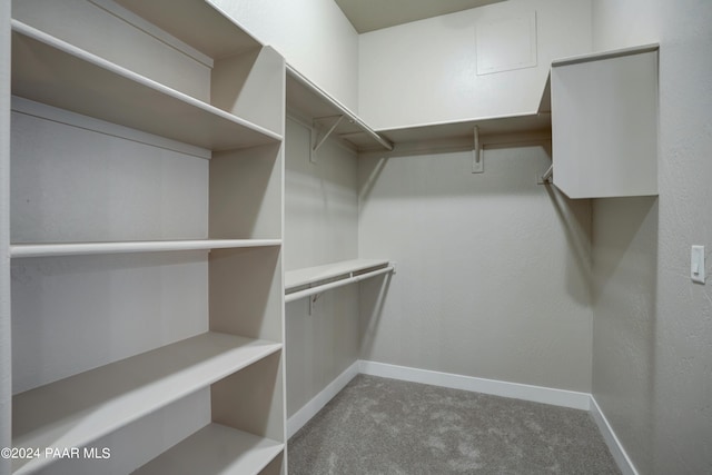 spacious closet featuring carpet