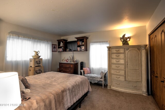 bedroom featuring multiple windows, a closet, and dark carpet