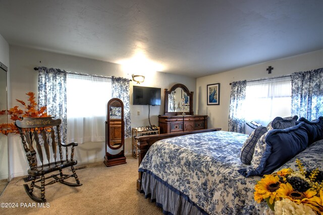 view of carpeted bedroom