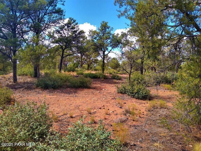 15777 N Lucy Ln, Prescott AZ, 86305 land for sale