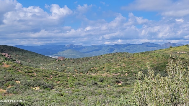 0 S Dewey Overlook Way, Dewey-Humboldt, AZ 86327 - photo 17