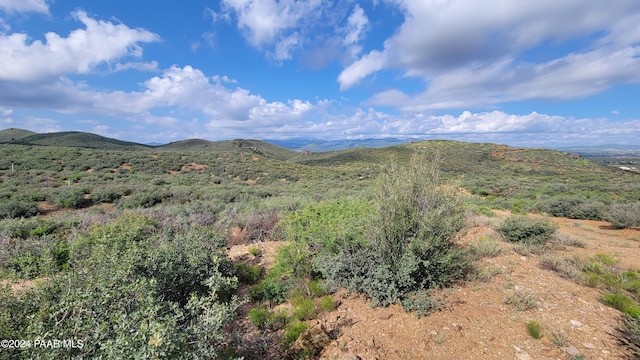 0 S Dewey Overlook Way, Dewey-Humboldt, AZ 86327 - photo 15