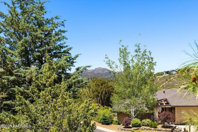 110 High Chaparral Loop, Prescott, AZ 86303 - mountain view