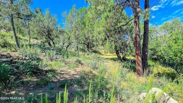 740 Crosscreek Dr, Prescott, AZ 86303 - photo 7