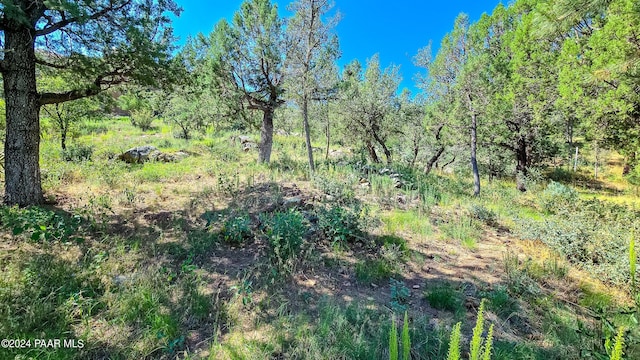 740 Crosscreek Dr, Prescott, AZ 86303 - photo 8