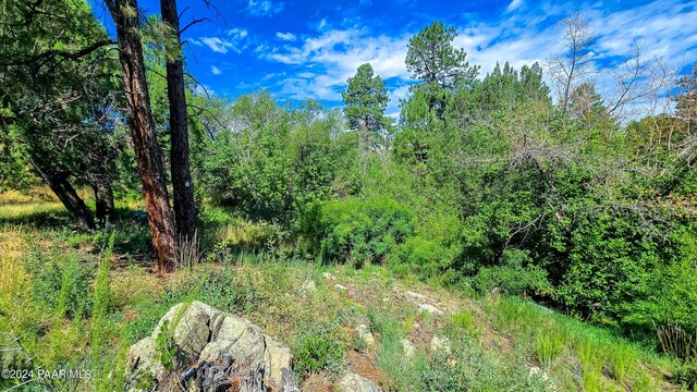 740 Crosscreek Dr, Prescott, AZ 86303 - photo 6