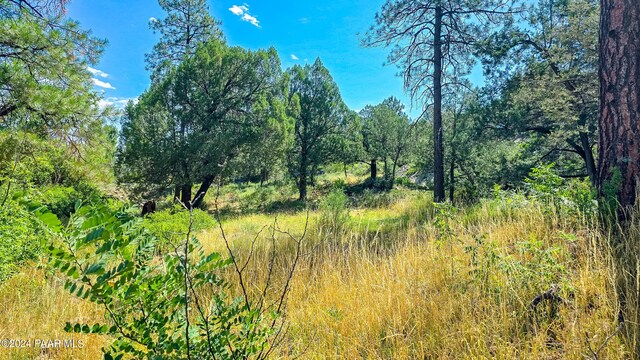 740 Crosscreek Dr, Prescott, AZ 86303 - photo 10