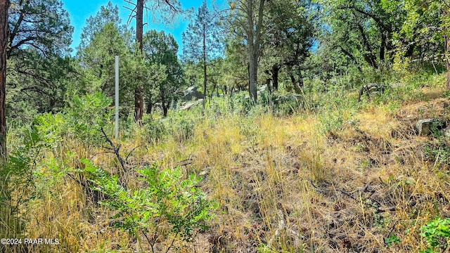 740 Crosscreek Dr, Prescott, AZ 86303 - photo 11