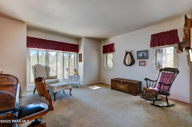 1900 Coyote Rd, Prescott, AZ 86303 - photo 21