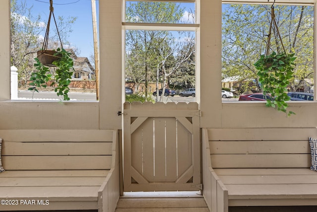 entryway with a wealth of natural light