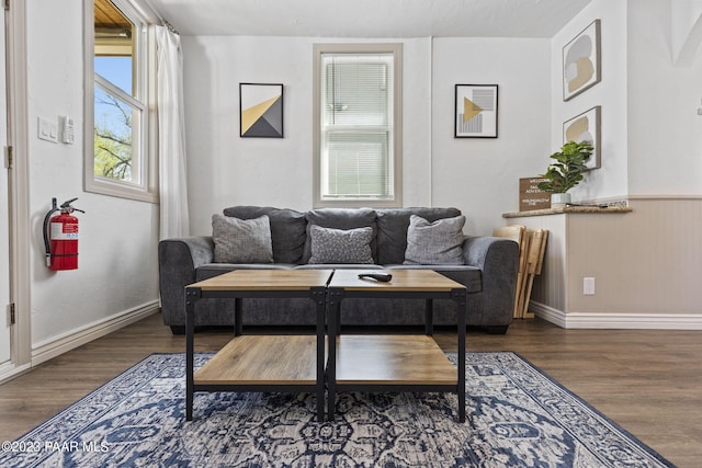 living area with baseboards and wood finished floors