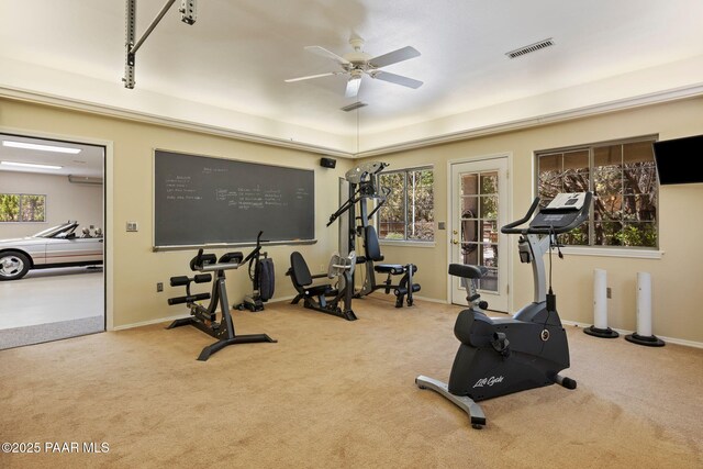 115 E Rosser St, Prescott, AZ 86301 - workout room with carpet, a ceiling fan, and a raised ceiling