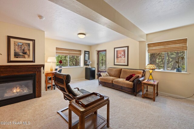 115 E Rosser St, Prescott, AZ 86301 - living area featuring carpet floors and a glass covered fireplace