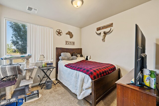 377 Grafton Ct, Chino Valley, AZ 86323 - photo 34